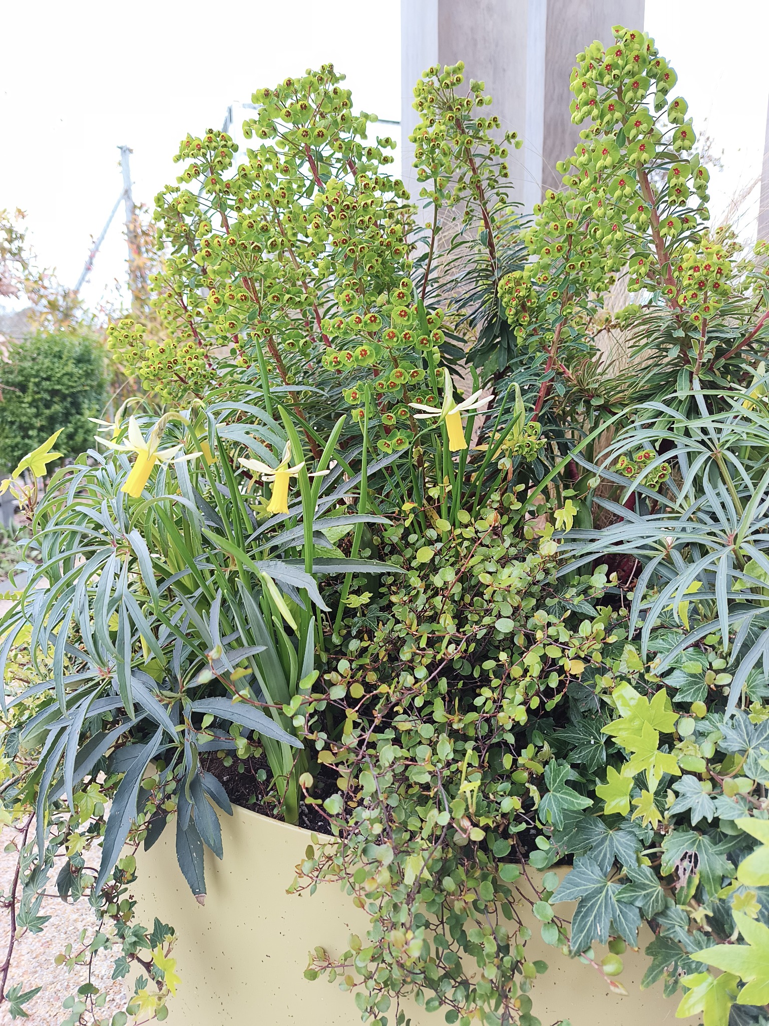 Detailed planting