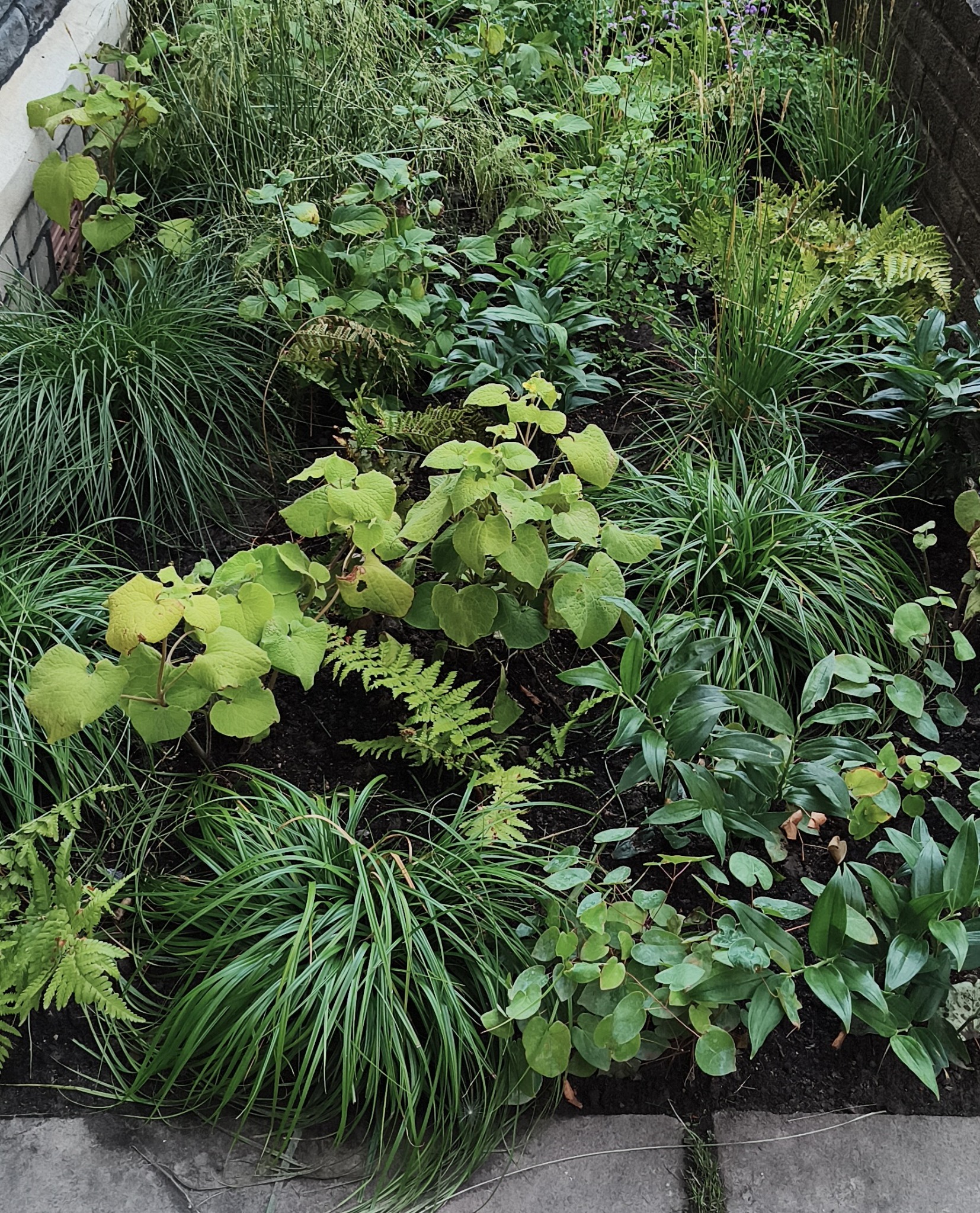 Layered garden planting